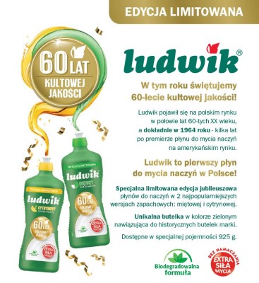 Ludwik płyn do naczyń mięta 925g